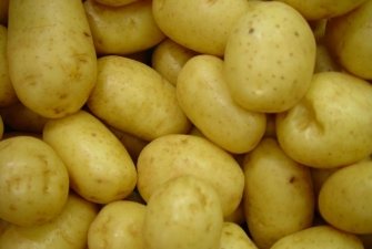 Ar tikrai viską žinome apie bulves?