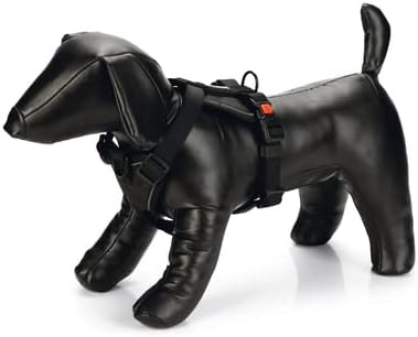 Petnešos šunims Beeztees Harness, juoda sp., 450 - 570 mm x 20 mm, S