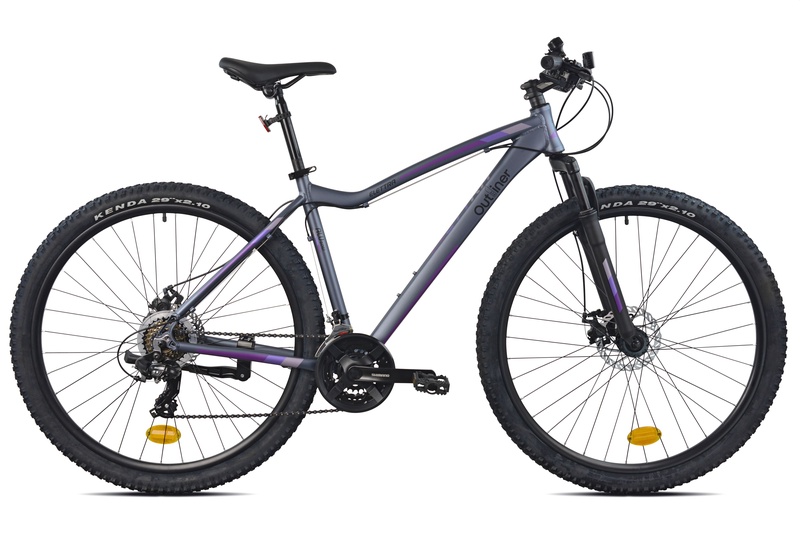 Dviratis kalnų Outliner, 29 ", pilka sp./violetinė sp.