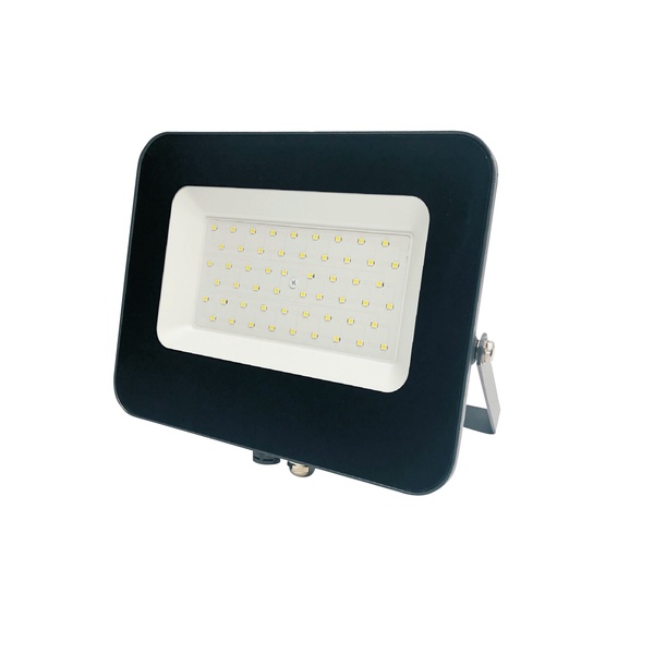 Prožektorius be judesio daviklio, tvirtinamas prie sienos Standart E024EI E024EI, 50 W, 4250 lm, 4000 °K, IP65, pilka sp.