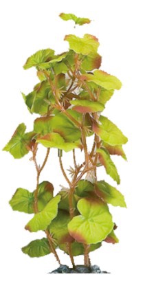 Akvariumo dekoracija, augalas Flamingo Silk Brasil L, 0.11 kg, (spalva/dizainas parenkami atsitiktine tvarka), 28 cm