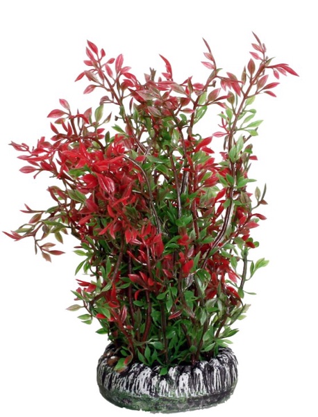 Akvariumo dekoracija, augalas Flamingo Sri Lanka L, 0.19 kg, (spalva/dizainas parenkami atsitiktine tvarka), 28 cm