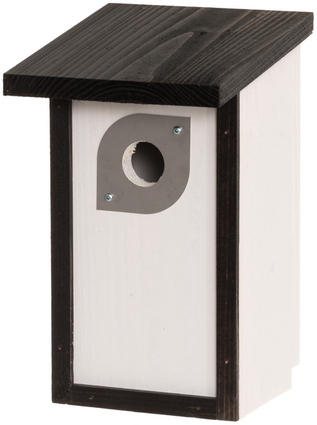 Inkilas Tarmo, 27 cm x 16 cm