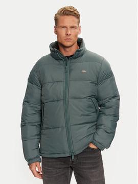 Dickies Demisezoninė striukė · Žalia