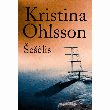 Šešėlis. Detektyvas Augustas Strindbergas. 4 knyga