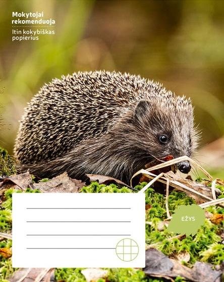 Sąsiuvinis EŽYS 24 l., langeliais