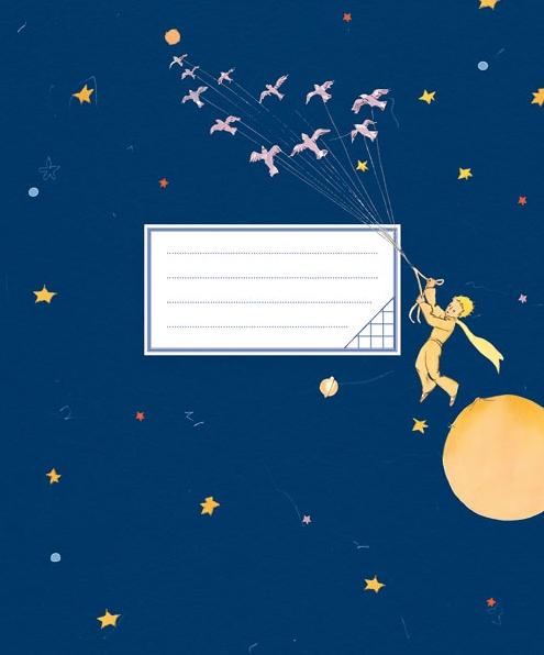 Sąsiuvinis MAŽOJO PRINCO PAUKŠČIAI, 24 l., langeliais