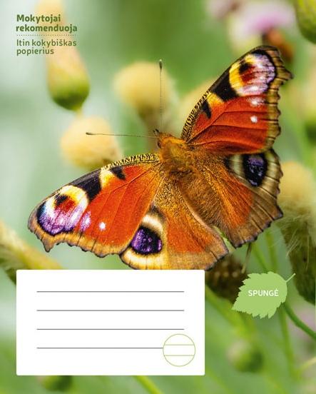 Sąsiuvinis DRUGELIS, 24 l., linijomis