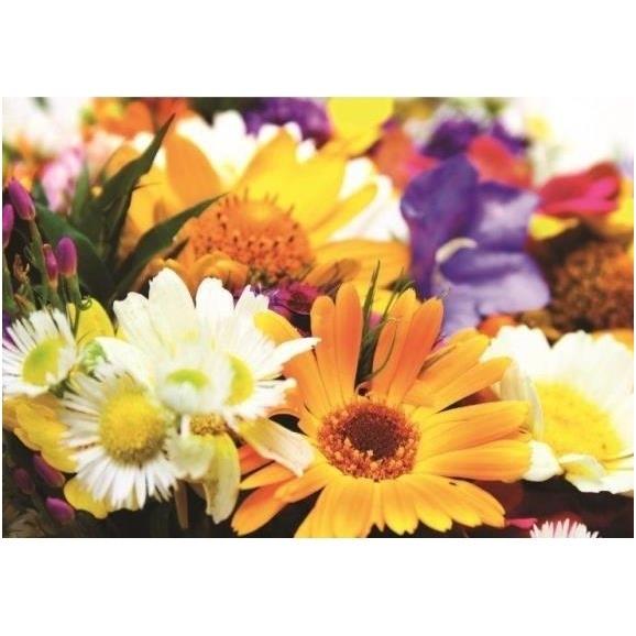 Sveikinimo atvirukas