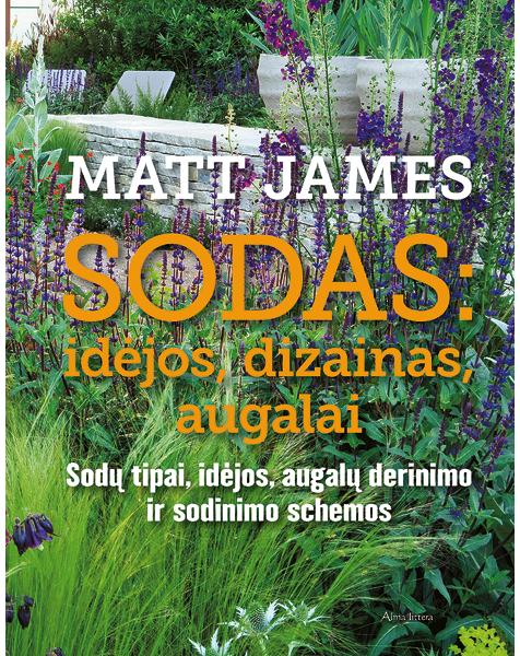 Sodas: idėjos, dizainas, augalai