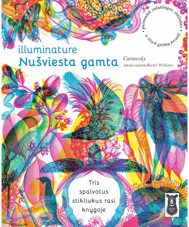 Illuminature : nušviesta gamta