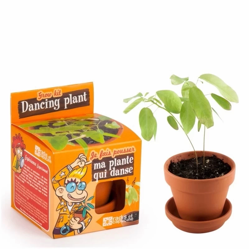 Auginimo rinkinys vaikams RADIS et CAPUCINE Šokantis augalas