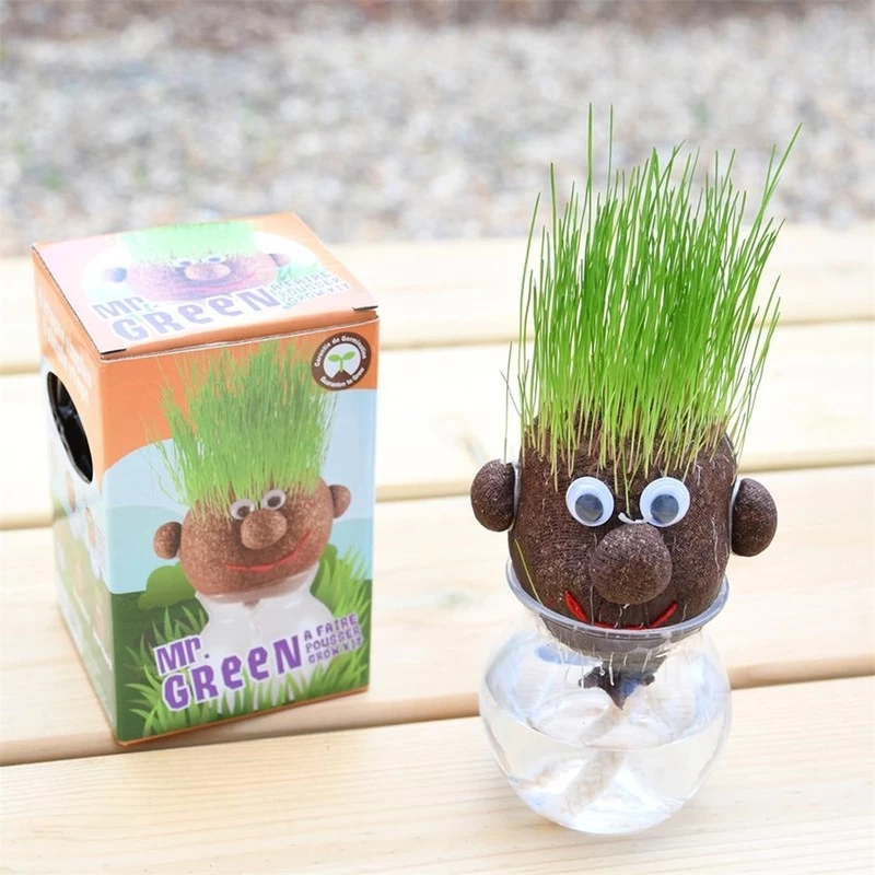 Daiginimo rinkinys RADIS et CAPUCINE Mr. Green