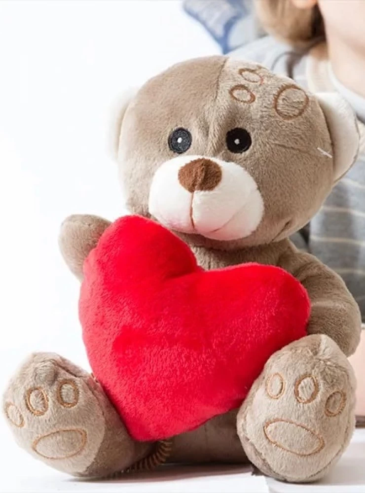 Pliušinis meškiukas su širdele