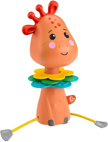 Lavinimo žaislas Mattel Fisher Price