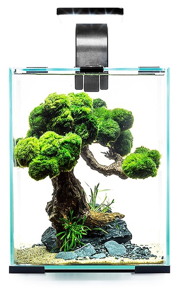 Akvariumas Aquael 326193, juoda sp., su įranga, 10 l
