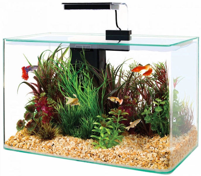 Akvariumas Zolux Clear Aqua Kit 309018, skaidri sp./juoda sp., su įranga, 17 l