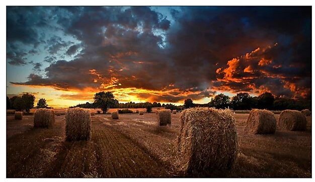 Monitorius Samsung VM55B-U, D-LED, FHD, 55"