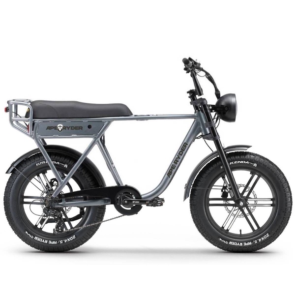 Elektrinis dviratis Ape Ryder A10, L, 20", 250 W, 10 Ah, pilka sp.