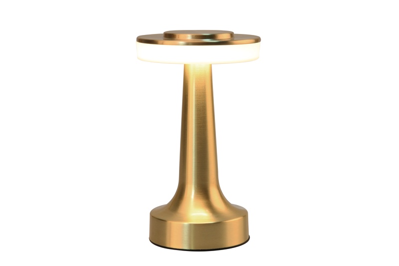 Stalinis šviestuvas Domoletti Rodeo ETLED-53C SATIN BRASS, LED, 0.5W, balta sp.