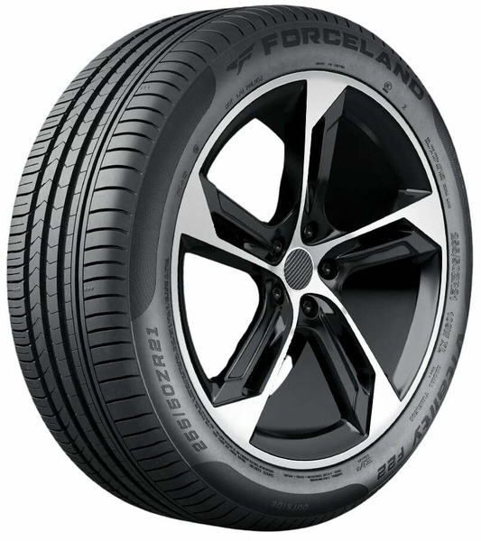 Vasarinė automobilių padanga Forceland Vitality F22 2281976 205/55/R16, 91-V, D, B, 71 dB