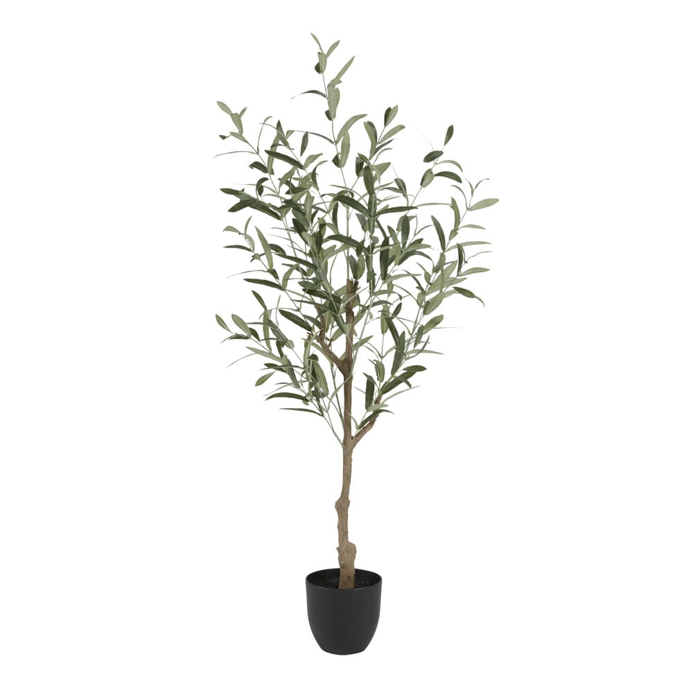 Dirbtinis augalas HAVHEST