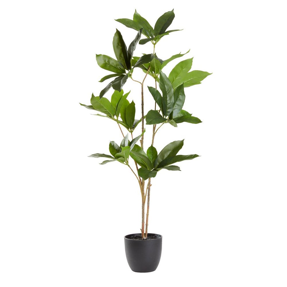 Dirbtinis augalas TRISTAN