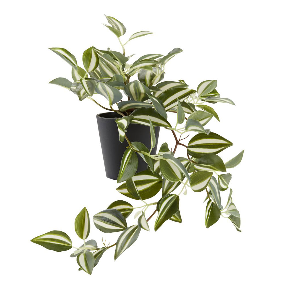 Dirbtinis augalas ASGAR