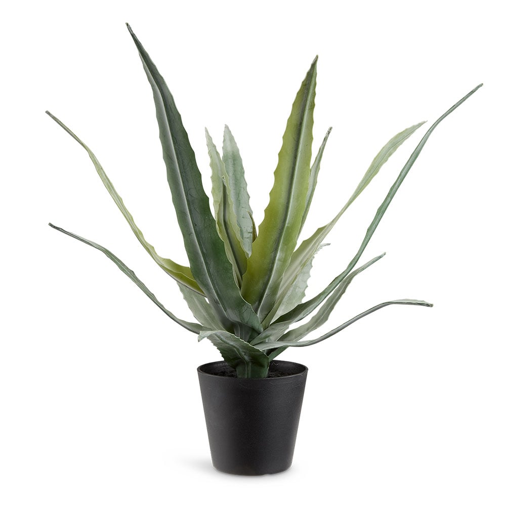 Dirbtinis augalas CELIUS