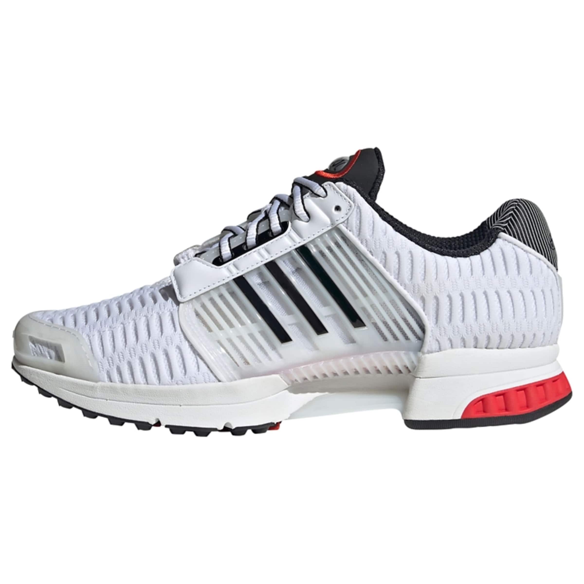 ADIDAS ORIGINALS Sportbačiai be auliuko 'Climacool 1'