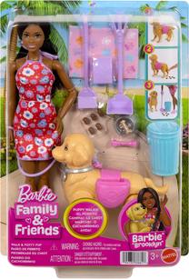 Lėlė, su priedais Mattel Barbie Family & Friends JJB47, 30 cm, įvairių spalvų
