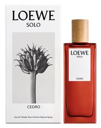 Tualetinis vanduo Loewe Solo, 100 ml