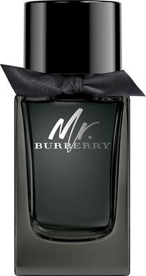 Kvapusis vanduo Burberry Mr. Burberry, 100 ml