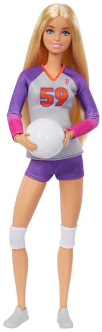 Lėlė Mattel Barbie HKT72 HKT72, 29 cm, įvairių spalvų