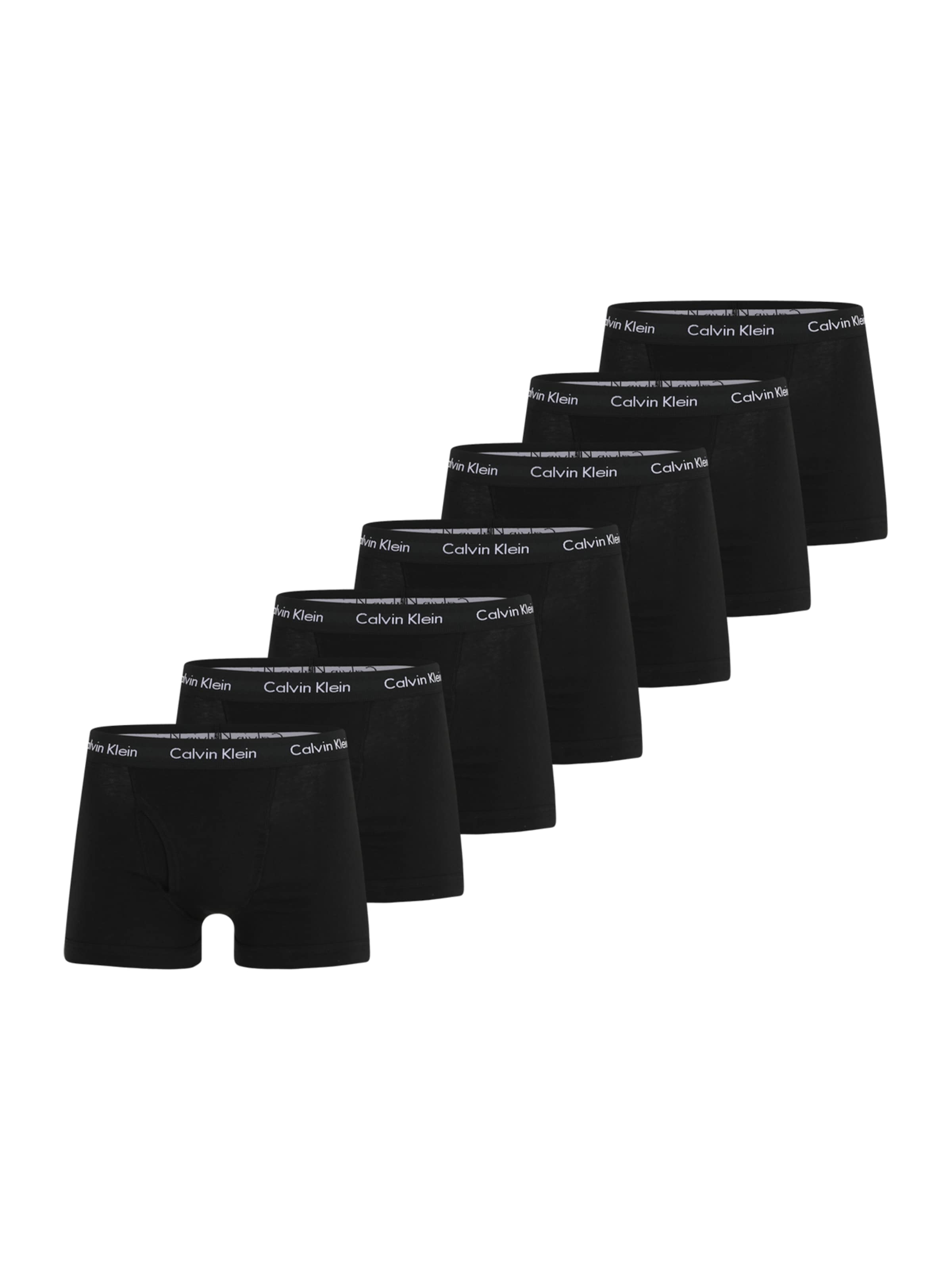 CALVIN KLEIN UNDERWEAR Boxer trumpikės