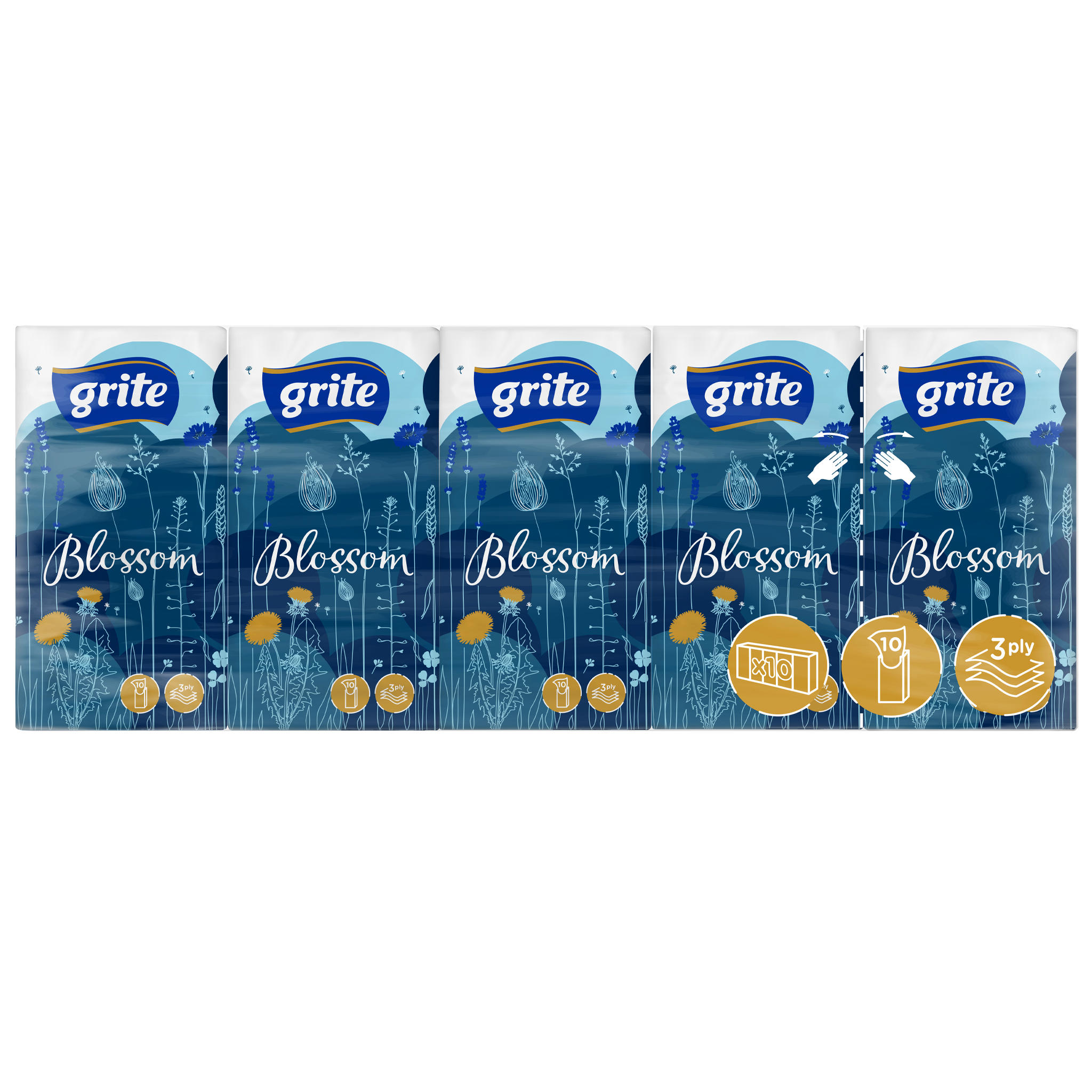 Popierinės nosinaitės GRITE BLOSSOM, 10 vnt.