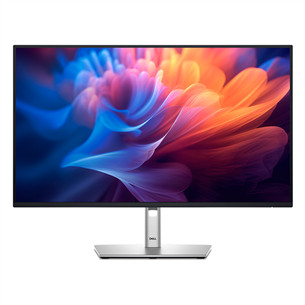 Dell P2725H, 27'', 100 Hz, sidabrinis - Monitorius P2725H