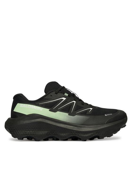 Salomon Ultra Flow 2 Gtx L47981400 · Bėgimo batai