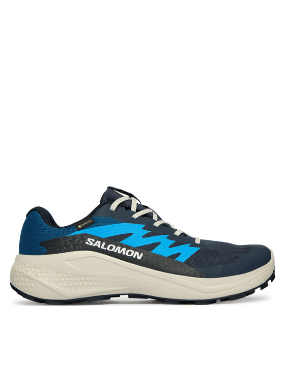 Salomon Alphaglide Gtx  L47975100 · Bėgimo batai