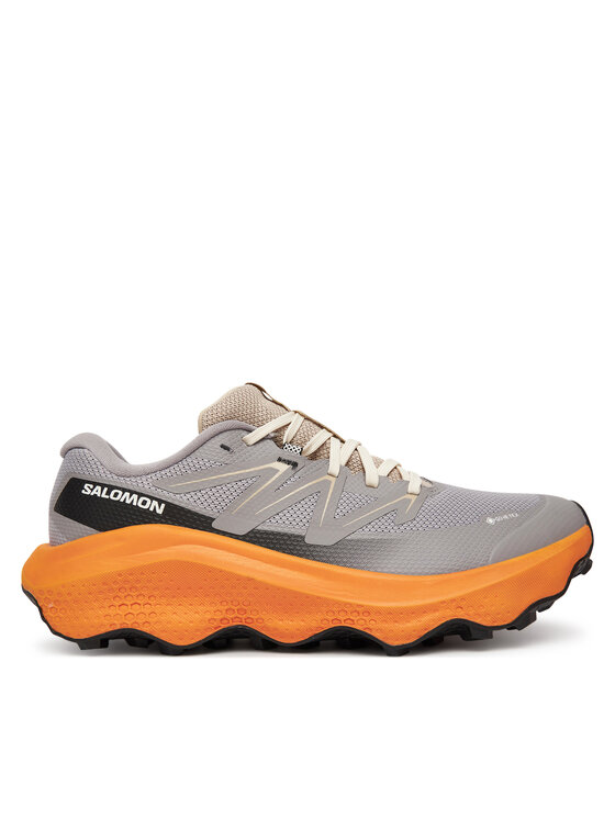 Salomon Ultra Flow 2 Gore-Tex L47884200 · Bėgimo batai