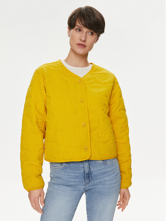 Wrangler Demisezoninė striukė · Geltona