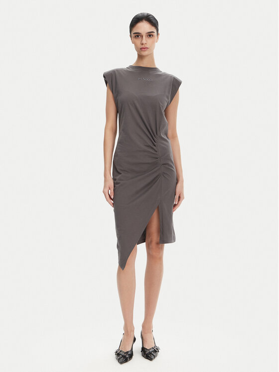 PINKO Kasdieninė suknelė · Pilka · Mini
