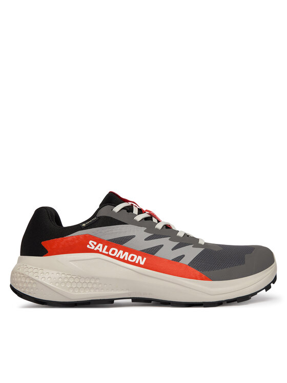 Salomon Alphaglide Gore-Tex L47975300 · Bėgimo batai