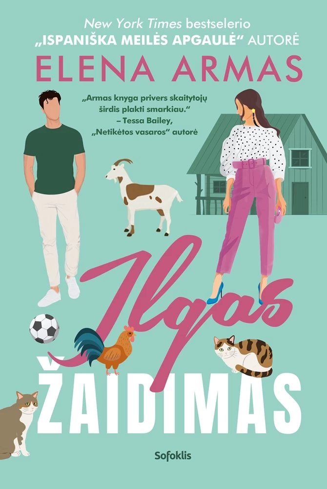Ilgas žaidimas