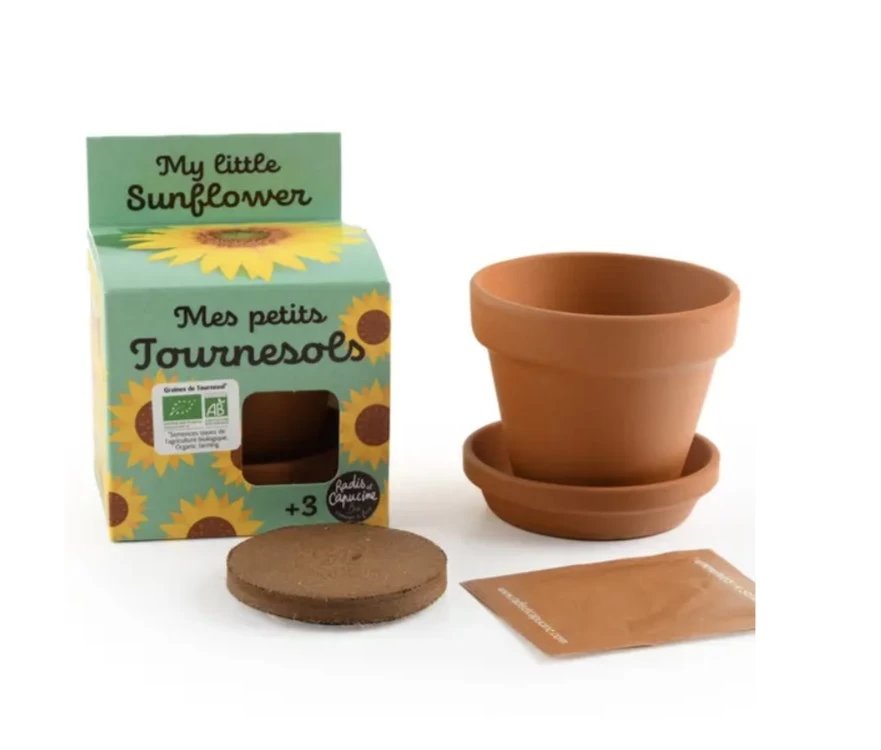 Auginimo rinkinys vaikams RADIS et CAPUCINE Saulėgrąža