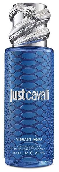 Kūno dulksna Roberto Cavalli, 250 ml
