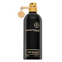 Kvapusis vanduo Montale Paris Oud Island, 100 ml
