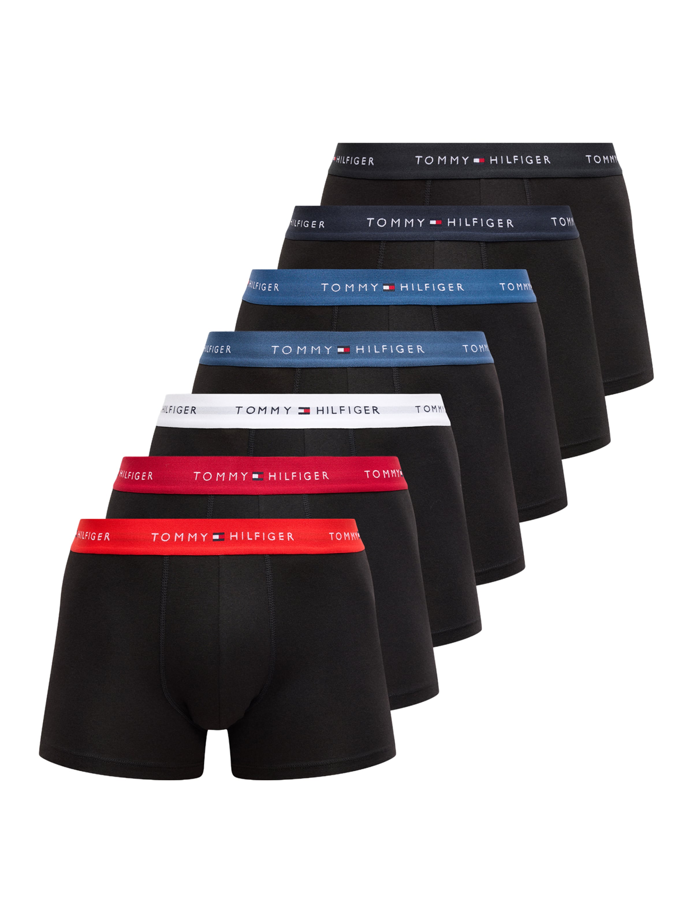TOMMY HILFIGER UNDERWEAR Boxer trumpikės