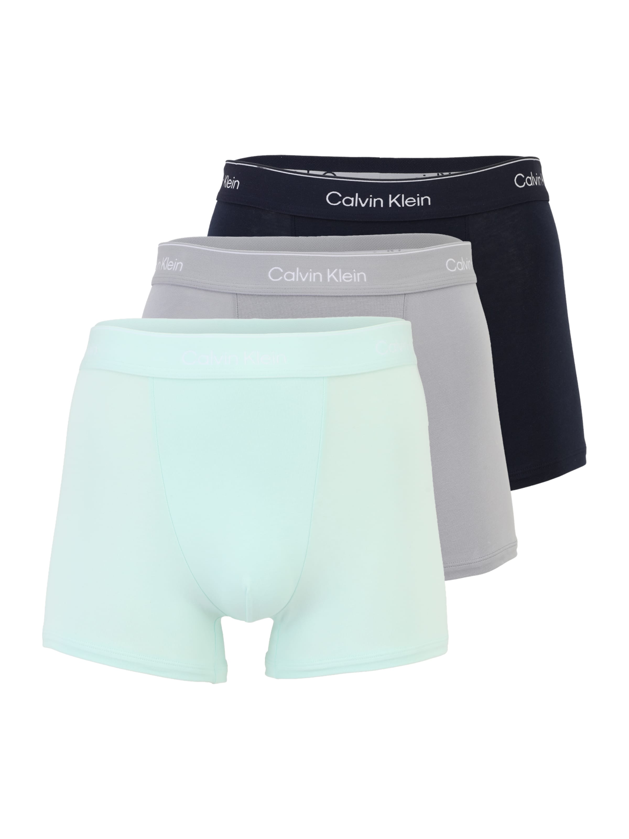 CALVIN KLEIN UNDERWEAR Boxer trumpikės