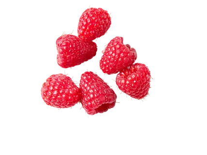 Avietės